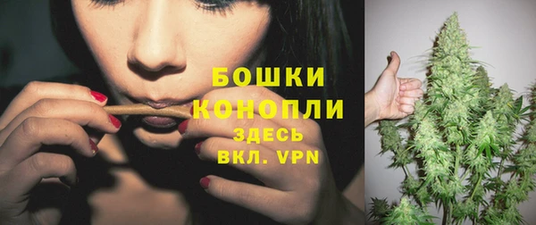 твердый Касимов