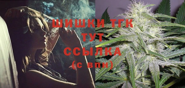 дмт Карпинск