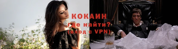 твердый Касимов