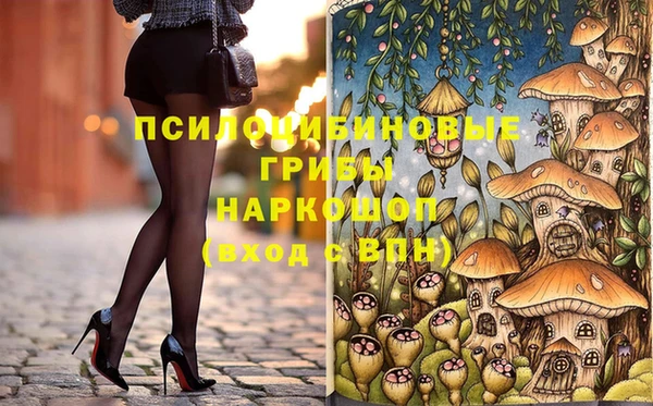 твердый Касимов