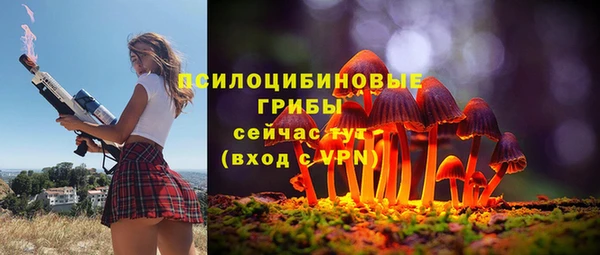 дмт Карпинск