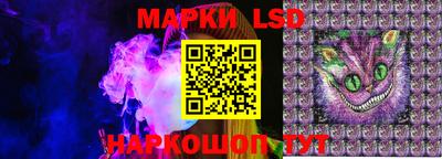 крисы Аргун