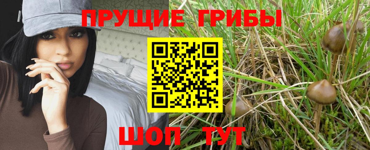 Псилоцибиновые грибы ЛСД Великий Устюг