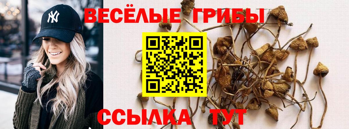 Галлюциногенные грибы Magic Shrooms  Псилоцибиновые грибы Psilocybine cubensis  Великий Устюг  Вход с VPN 